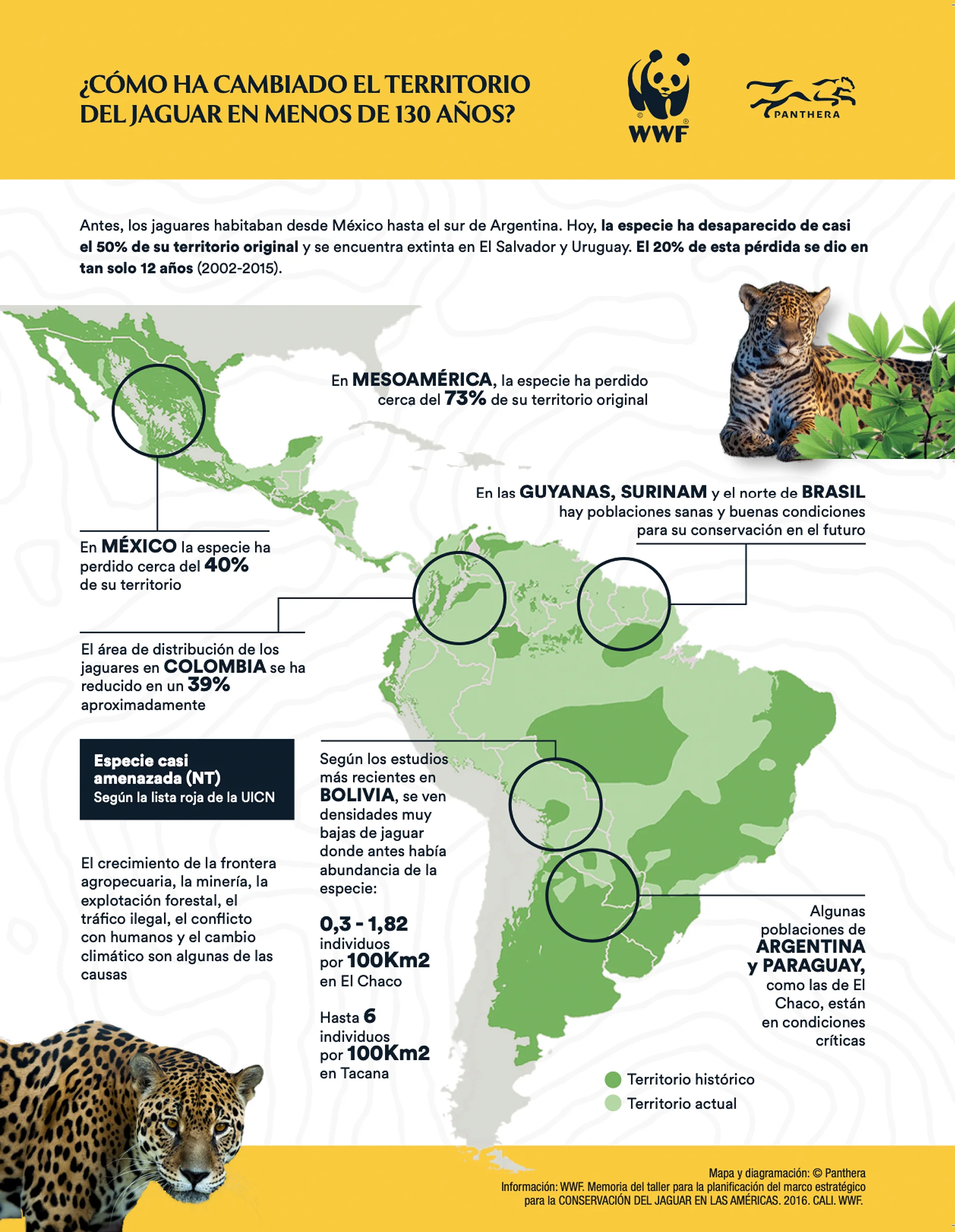 Infografi a Jaguar Pantera WWf f7ce7