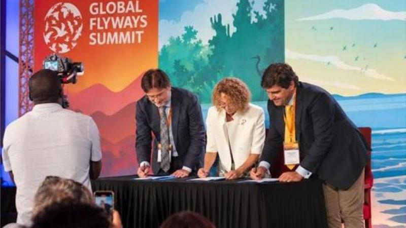 BIRDLIFE, AUDUBON Y CAF DESARROLLAN UN MARCO CIENTÍFICO PARA CONSERVAR AVES MIGRATORIAS