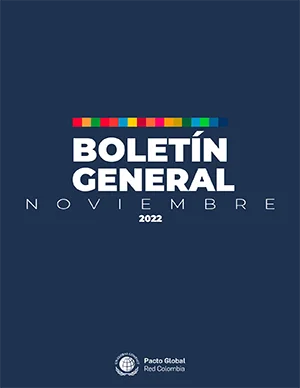 BOLETIN GENERAL NOVIEMBRE 2022