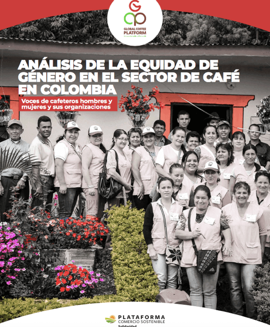 Análisis de equidad de género 1
