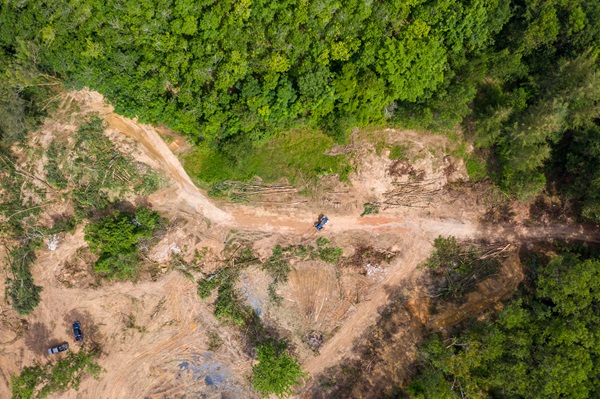 103 Foto Cambio climático y de uso de los suelos fe1d9