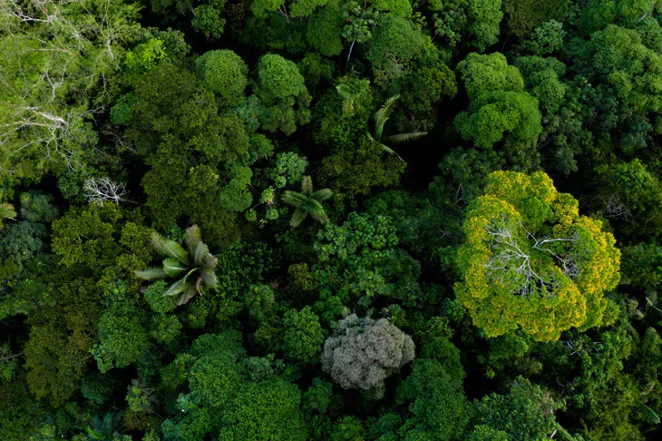 BBVA sostenibilidad biodiversidad seres solitarios 12ce8