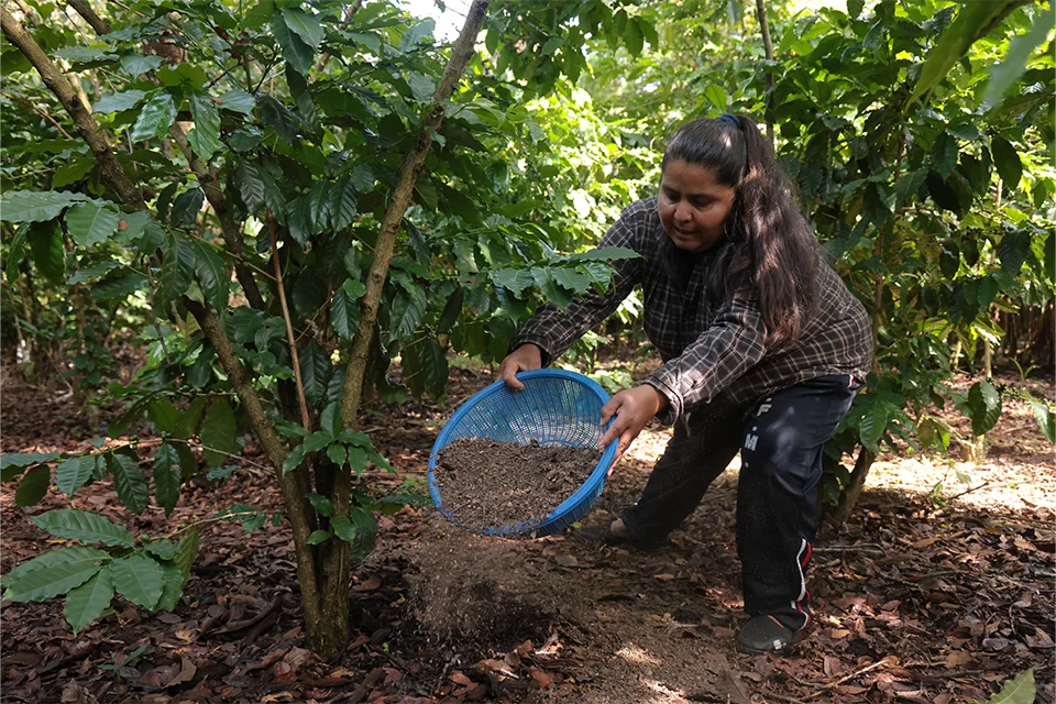 el liderazgo de las mujeres rurales el salvador web 03 0 a8463