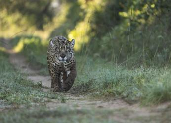 “La fotografía de la naturaleza tiene un poder enorme para...