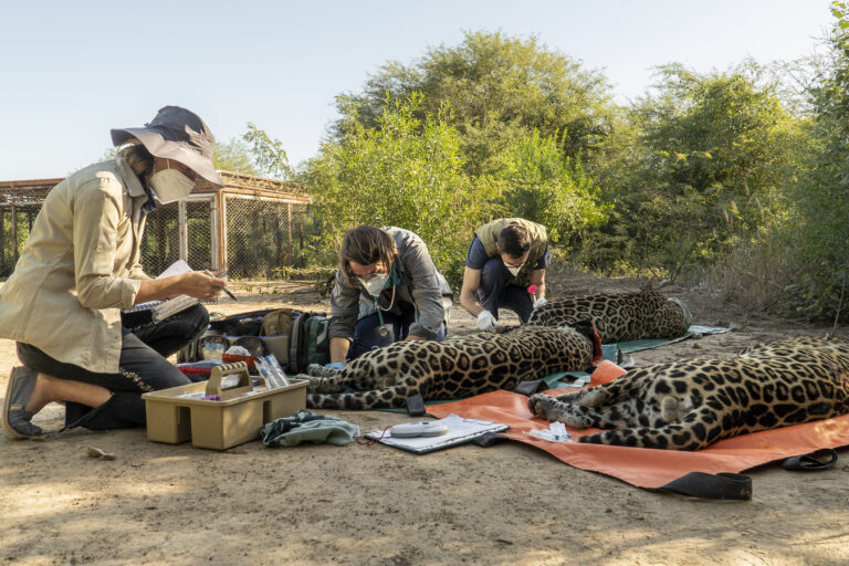 2 FROM PARAGUAY TO ARGENTINA Sebastian Navajas 7239 768x512 f530d