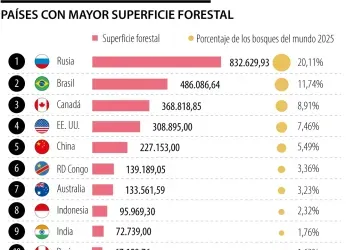 Conozca cuáles son los países que cuentan con mayor superficie...