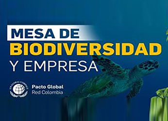 Visita Empresarial: ¿Por qué debería tu empresa proteger la...