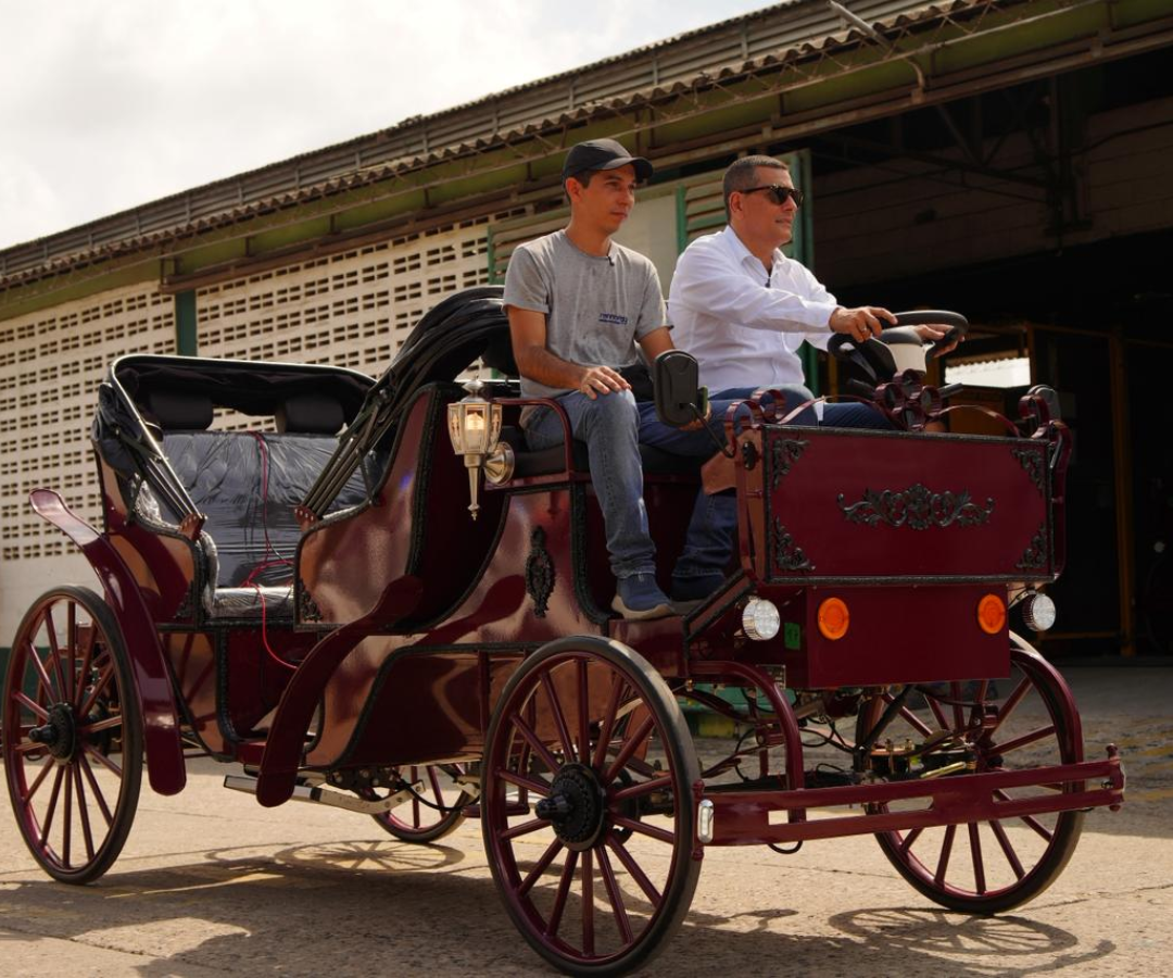 Coches electricos 6a778