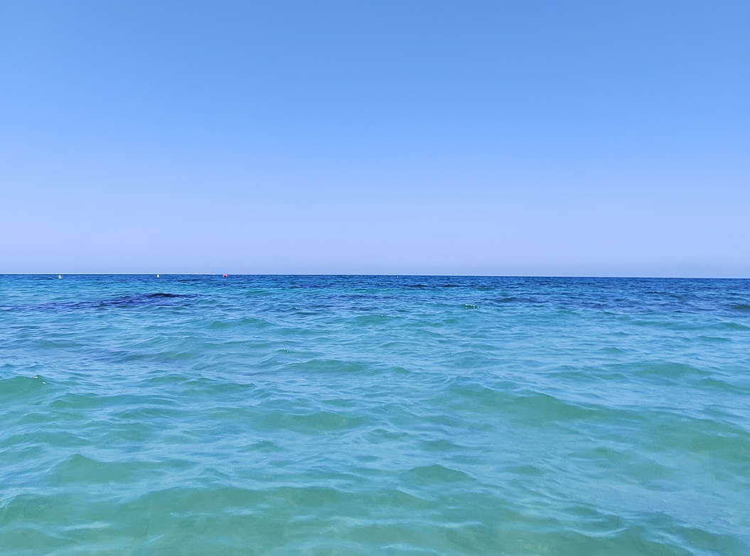 EFEVERDEmar 77c90
