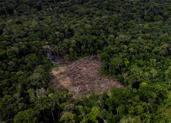 La deforestación en Colombia aumentó un 43% entre 2023 y 2024