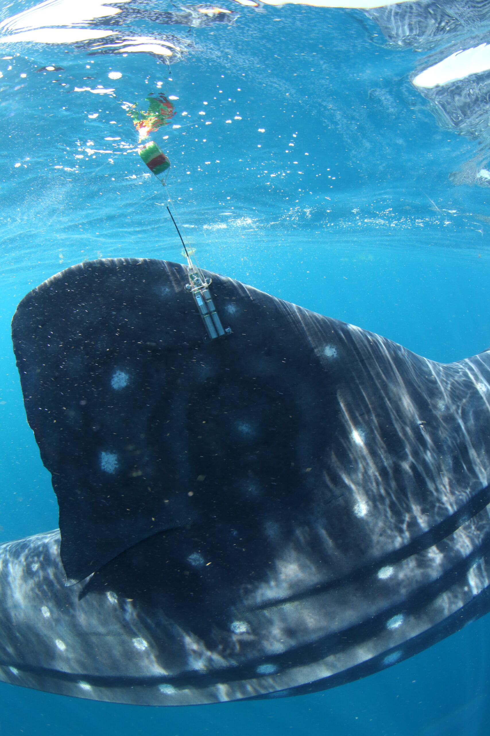 Fotografia 4 scaled 32a56