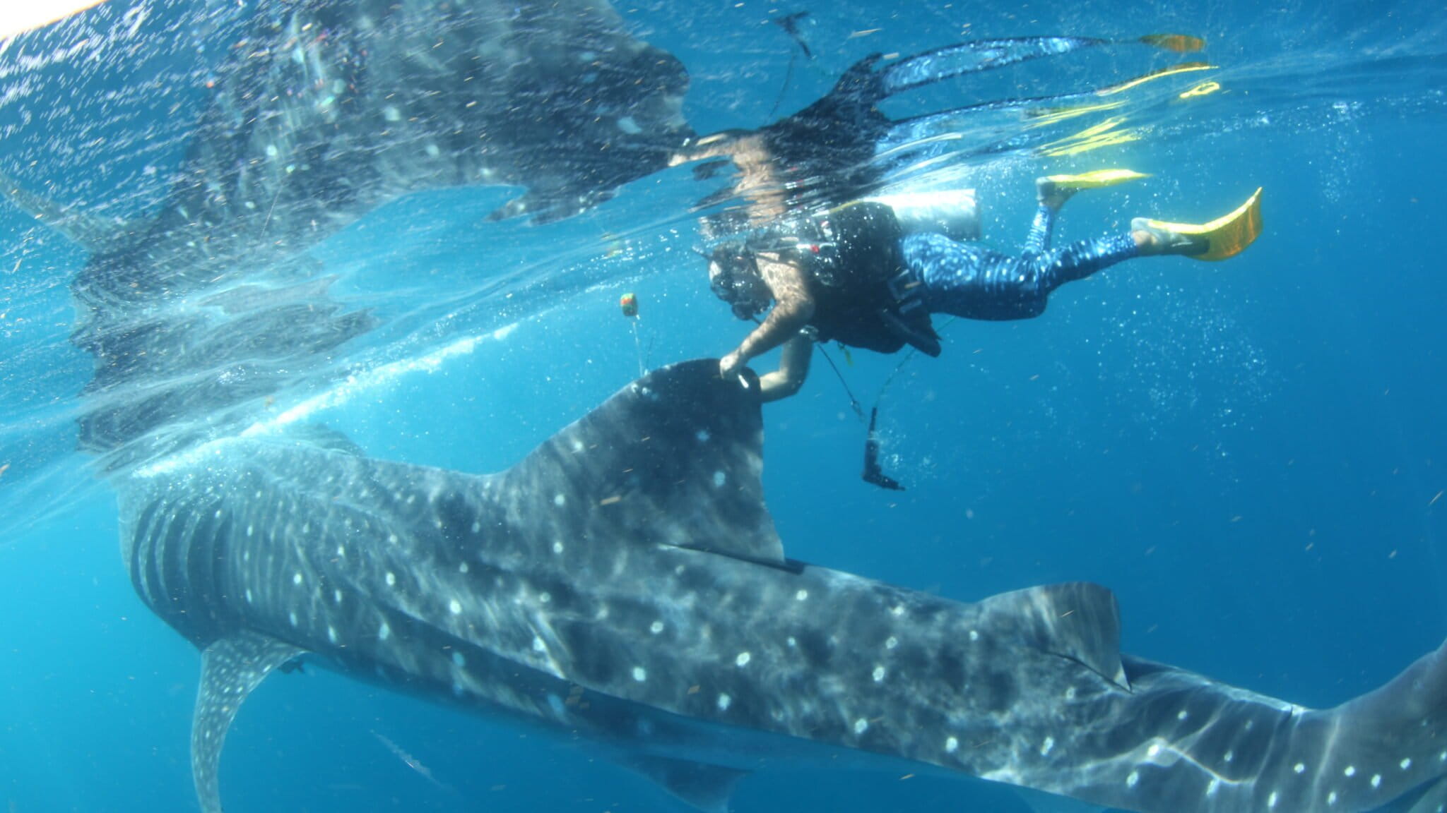 Fotografia 5 2048x1152 debb1