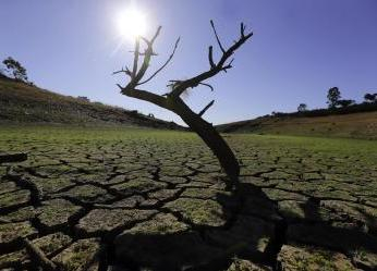 Derechos humanos y ambiente sano, elementos esenciales en COP30....