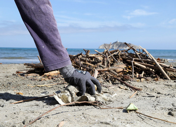 Colombia participará en el encuentro global de Basura Cero en...
