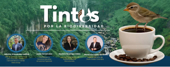 TINTOS e4c49
