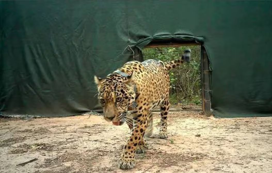 ZCRQMJKY35AHBF4HDPC5EOOQB4 f9fcc