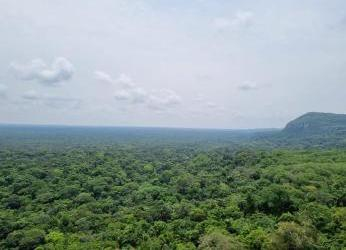 Infecciones urinarias y de la piel: hongos y bacterias revelan la...