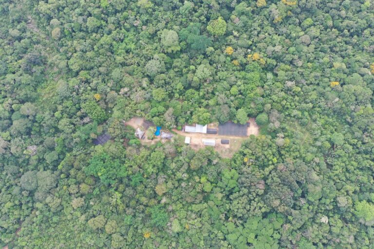 amazonia hongos bacterias aire actividad humana4 768x512 092fb