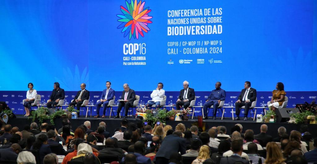cop 93dda