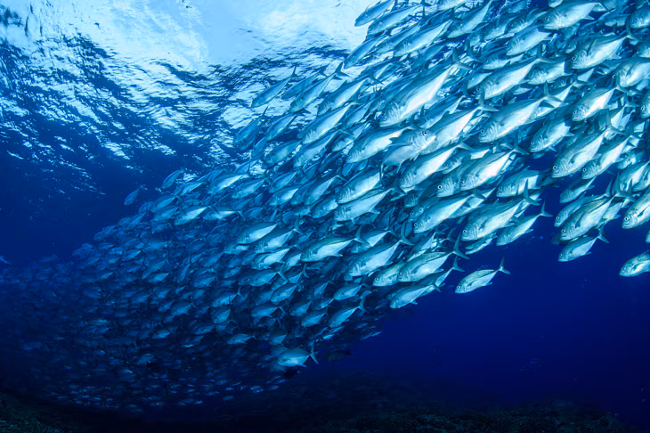 oceanos sostenibilidad BBVA cambio climatico medioambiente b1c5a