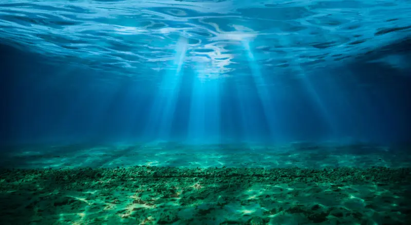 oceanososcuros1 63b22
