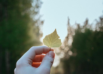 Dirt throwing vs. greenwashing