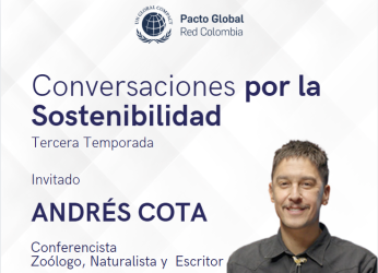 “Encontremos nuestro ajolote”: el llamado urgente a proteger la...