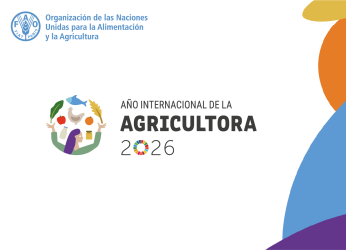 “Agricultoras que inspiran”: FAO lanza campaña permanente en el...