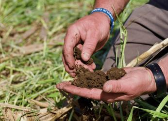 Cuidar el suelo para alimentar el futuro
