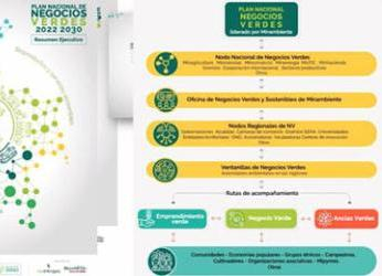 Pacto Global Red Colombia y Minambiente impulsan la sostenibilidad...