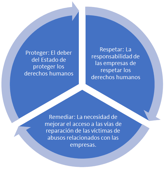 Principios Derechos Humanos