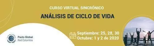 Curs Virtual Analisis Ciclo Vida