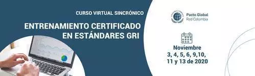 Cursos Virtuales GRI