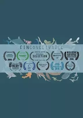 FinConcivable