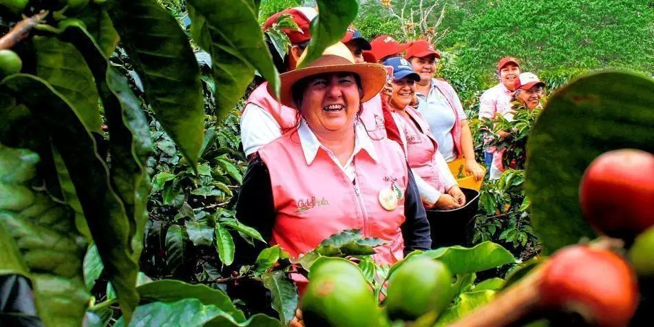 LogroParColombianas