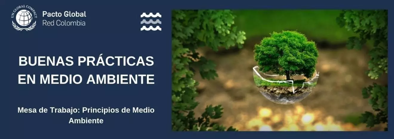 Ganadores de la convocatoria de buenas prácticas ambientales de Pacto Global Red Colombia 2019