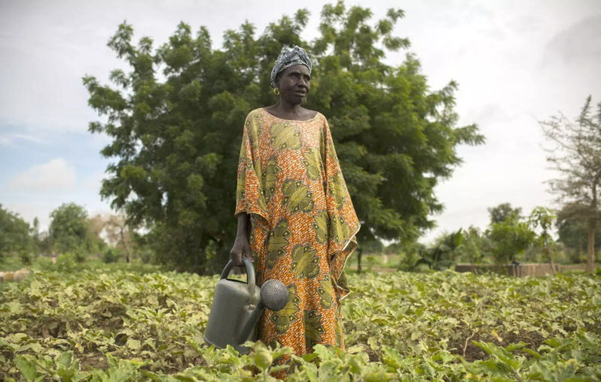 24/07/2018, SENEGAL, DABALY. &#xA;Mariam Cisse, 51 yo, president of the Kawral association  in Dabaly. &#xA;&#xA;The One million cisterns for the Sahel project aims to promote and facilitate the introduction of rainwater harvesting and storage systems for vulnerable communities, especially women. The objective is to enable millions of people in the Sahel have access to drinking water, have a surplus to enhance their family agricultural production, improve their food and nutrition security and strengthen their resilience.&#xA;&#xA;This programme has various elements: the cisterns that collect rain water, cash transfers for beneficiaries building the cisterns, provision of highly nutritious seeds, and tools for gardening, and training in climate smart agriculture, water management, better access to markets through,. In Senegal, 10,000 vulnerable women are directly targeted, who are part of 200-300 women's groups. These women have obtained land rights for the first time and have received one cistern to collect water. Before the project, these communities used to only consume meat, cereals and milk. Now that they have access to water, they can also grow vegetables during the dry season. Surplus vegetables are sold in the market. Kids going back to school now as they don't have to help families and fetch water.&#xA;There are 2 types of cisterns – a 50 cubic metre one for 60 women in a farmers' association 2.5 hours form Dakar, and a further 2.5 hours from there, 15 cubic metre cisterns. Women and children previously walked 4 hours a day to fetch water.&#xA;