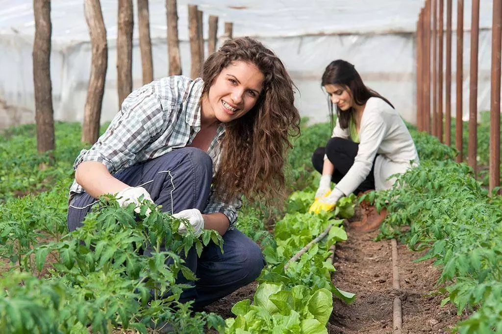 Foto Jovenes rurales emprendedores podrán acceder a servicios financieros ok b078c