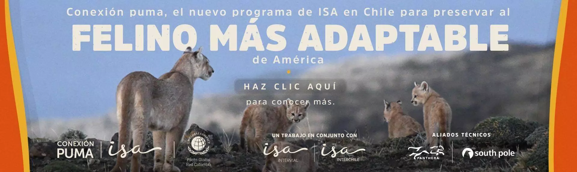 ISA CJ PUMA BANNER WEB 87e2b