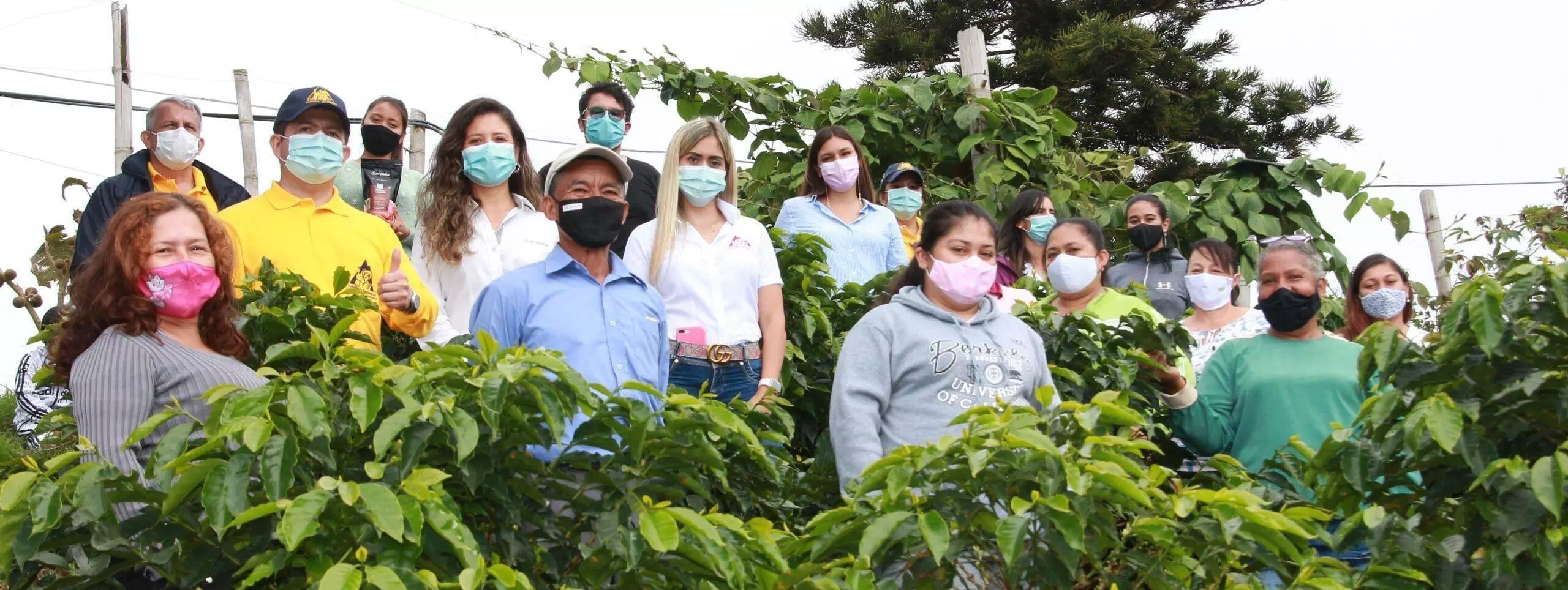 Mujeres cafeteras 1 Procafecol scaled 1e26f