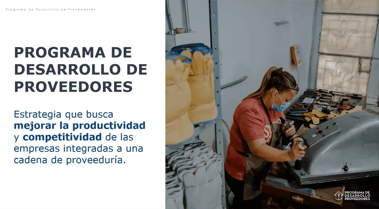 ProgramaDesarrolloProveedores f2341