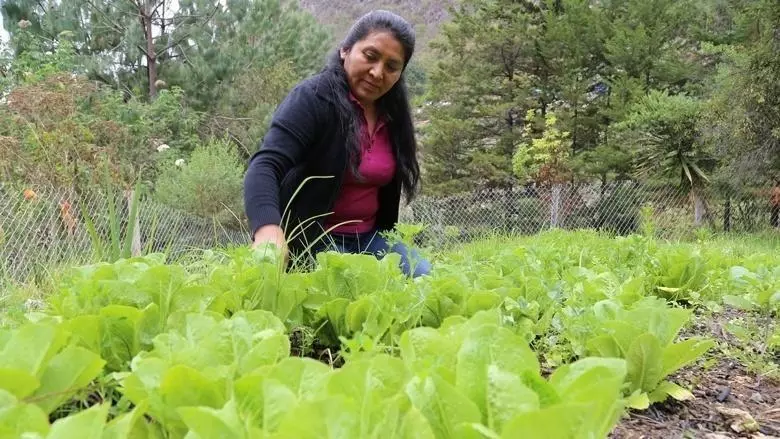 food security lac fb098