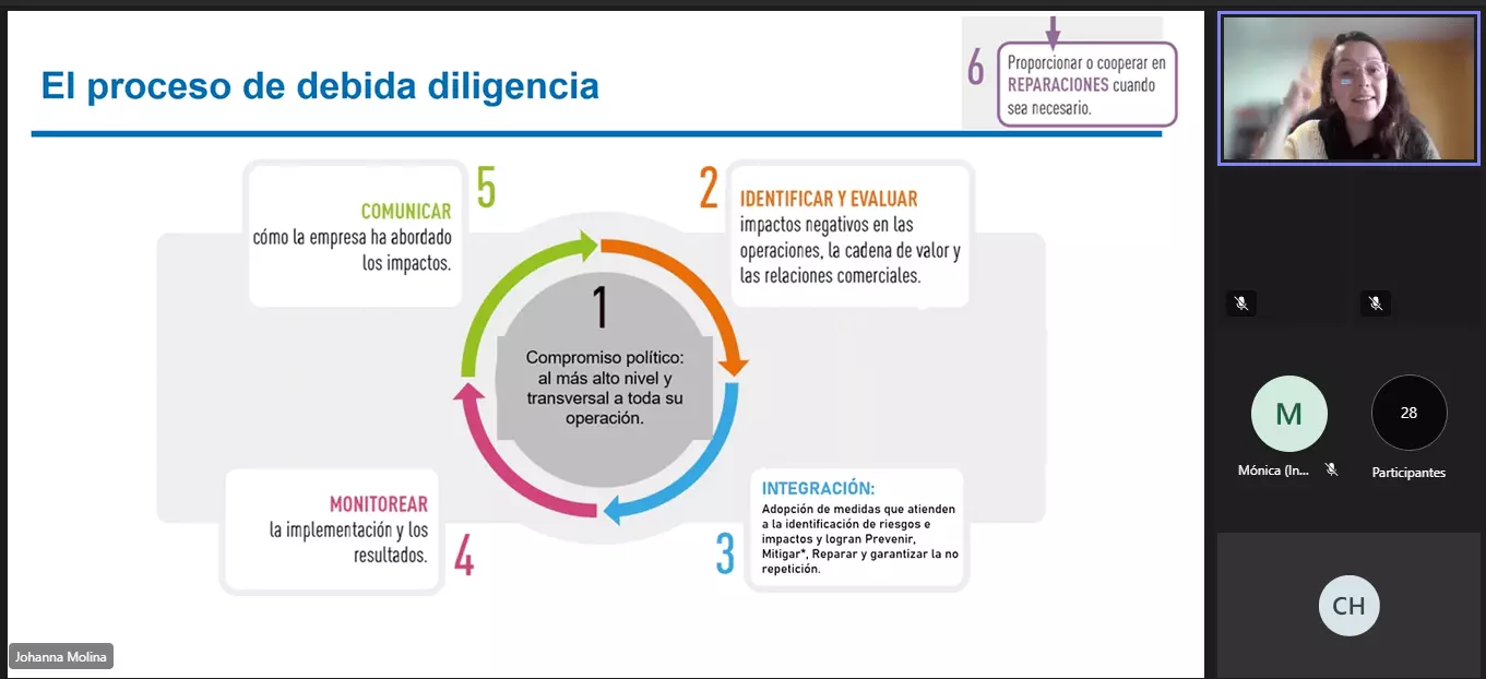 Los Principios Rectores sobre las Empresas y los Derechos Humanos como herramienta para el sector empresarial