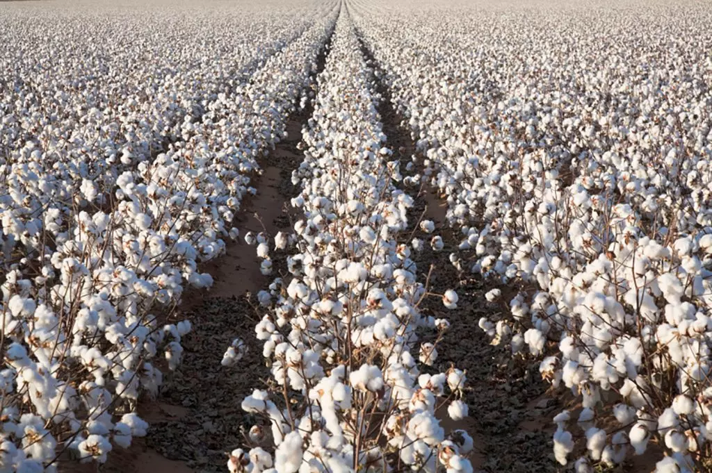 Proteger los océanos de la contaminación por microfibras
