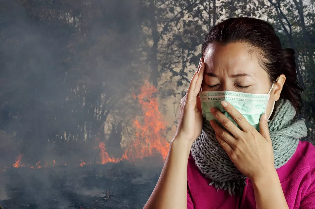 175 Foto Cambio climático mortalidad humana y humo incendios forestales 1cc96
