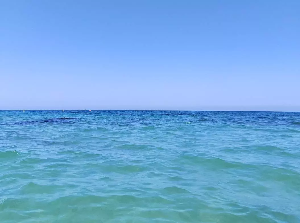 EFEVERDEmar 77c90