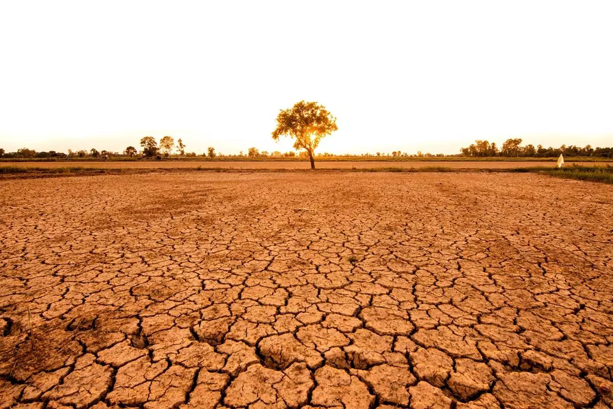 Foto cambio climático 4b7b7