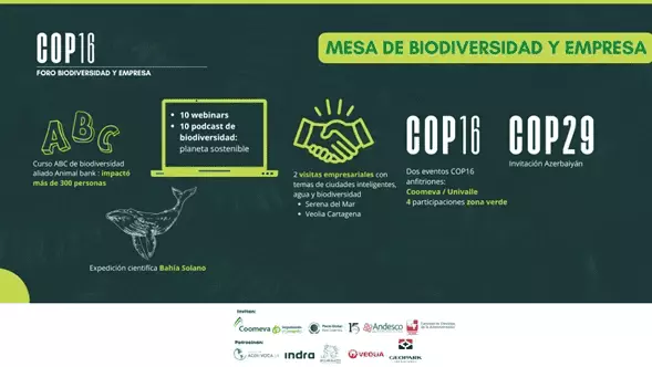MesaBiodiversidadEmpresaCOP16 fd645