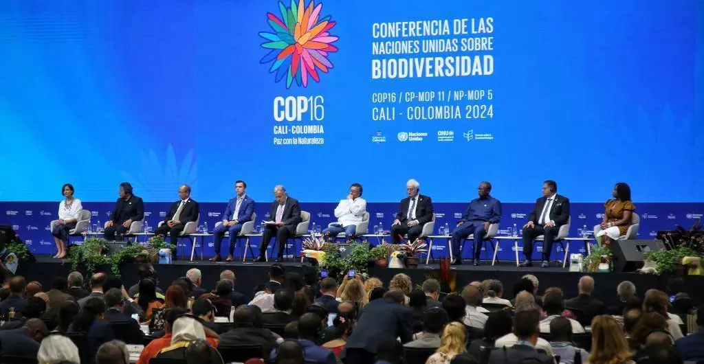 cop 93dda