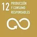 12 ODS